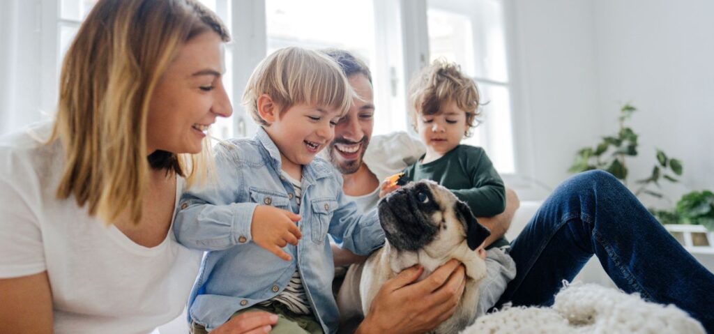 Choose Vault Mobile Storage