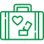 Vault Mobile Storage Luggage Icon
