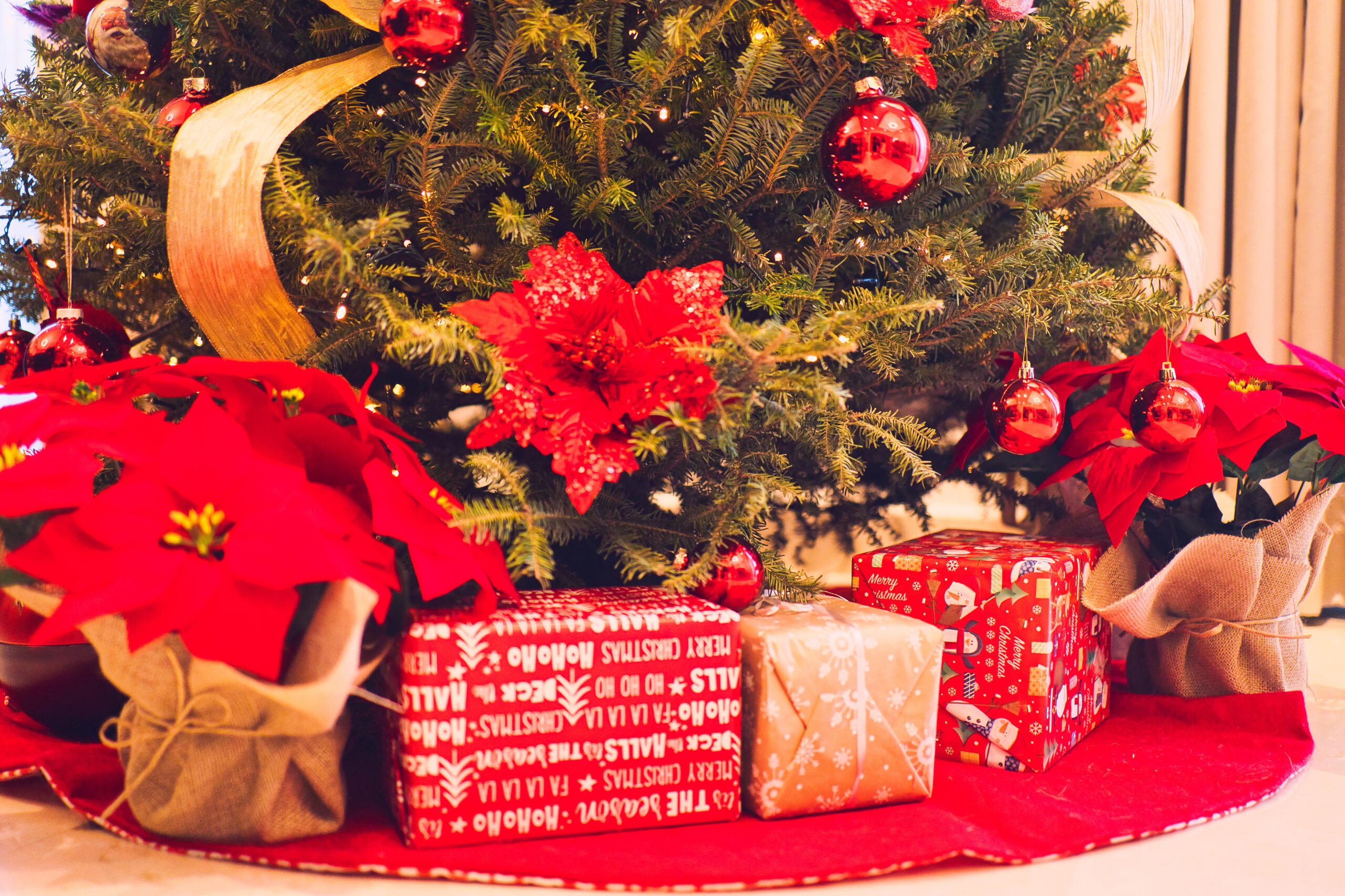 Holiday Season Vibes